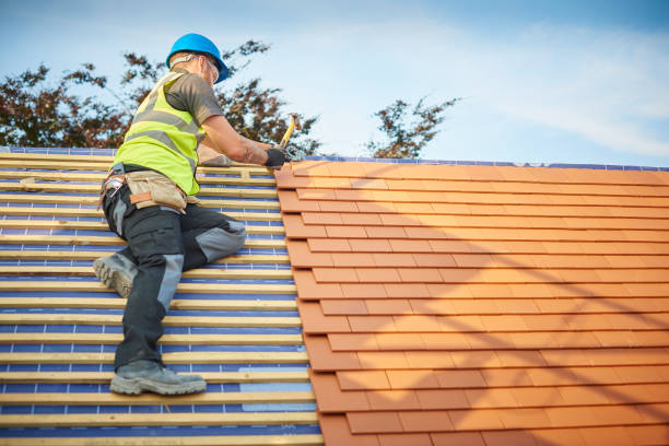 Best Roof Moss and Algae Removal  in Wynne, AR